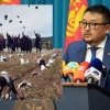 Боловсролыг бөөрөнхий төмсөөр сольж болдог юм уу, З.МЭНСАЙХАН сайд аа...